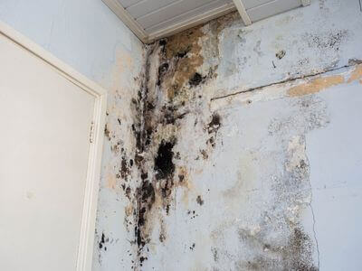 About water damage cleanup - ceiling water damage repair experts in Springfield